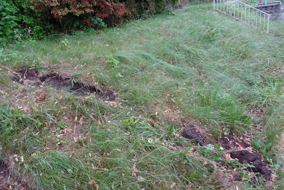 neighbor problem problems n.j. nj new jersey